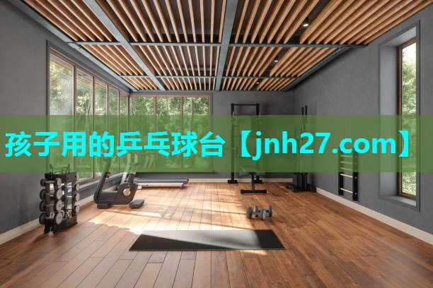 孩子用的乒乓球台